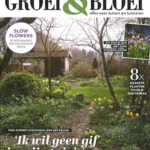 Voorjaar_Groei+BloeiFeb2024